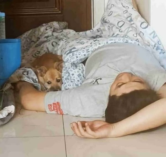 애니멀플래닛