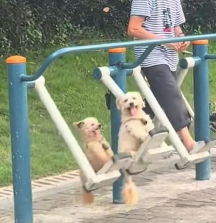 애니멀플래닛