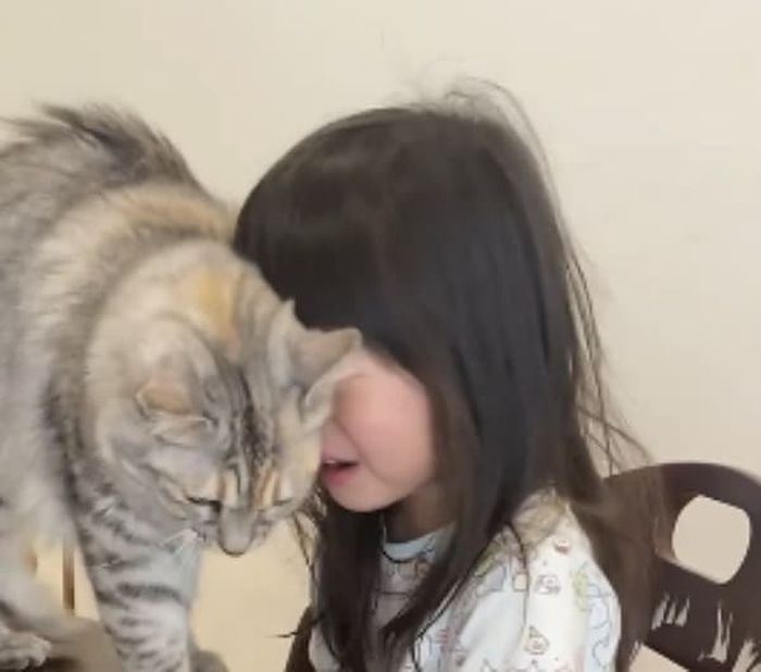 애니멀플래닛