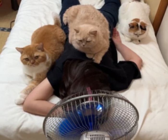애니멀플래닛