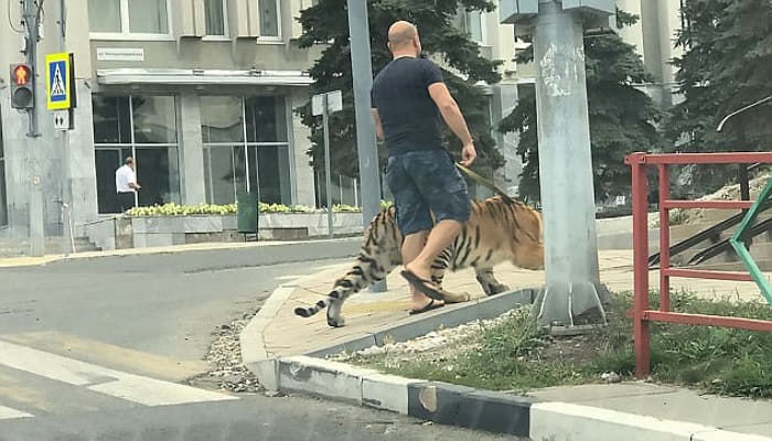 애니멀플래닛