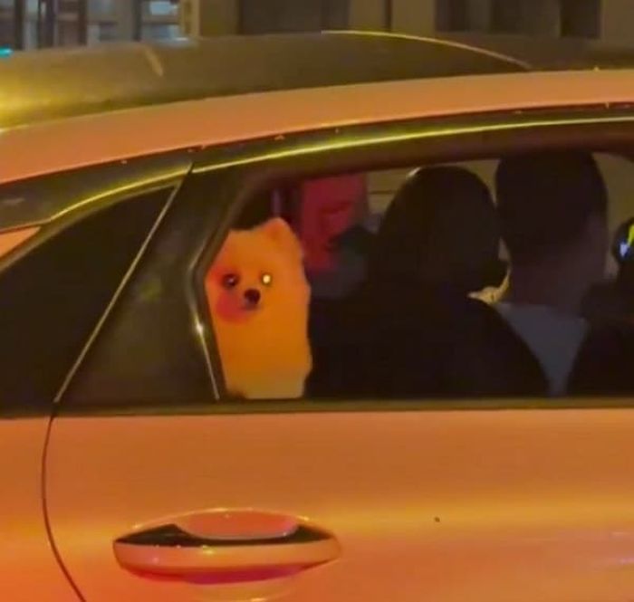애니멀플래닛