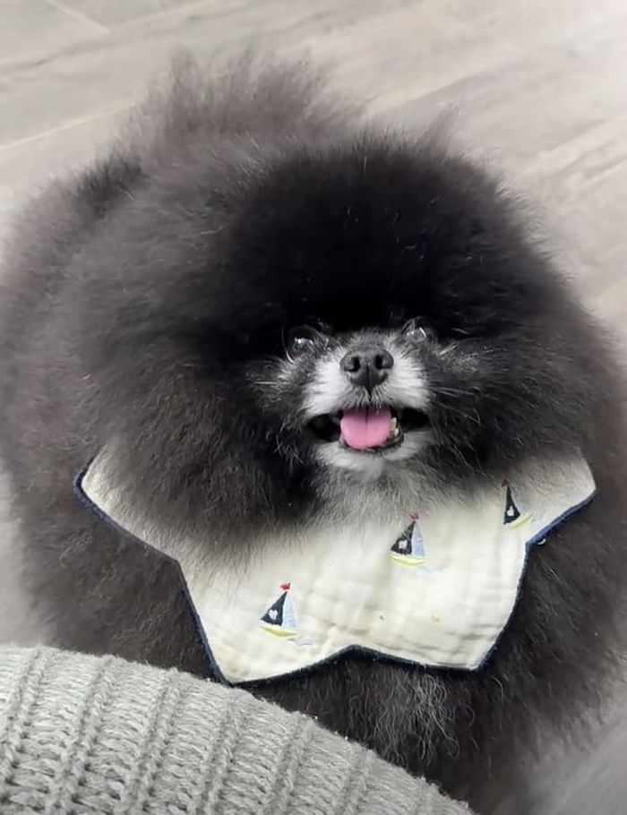 애니멀플래닛