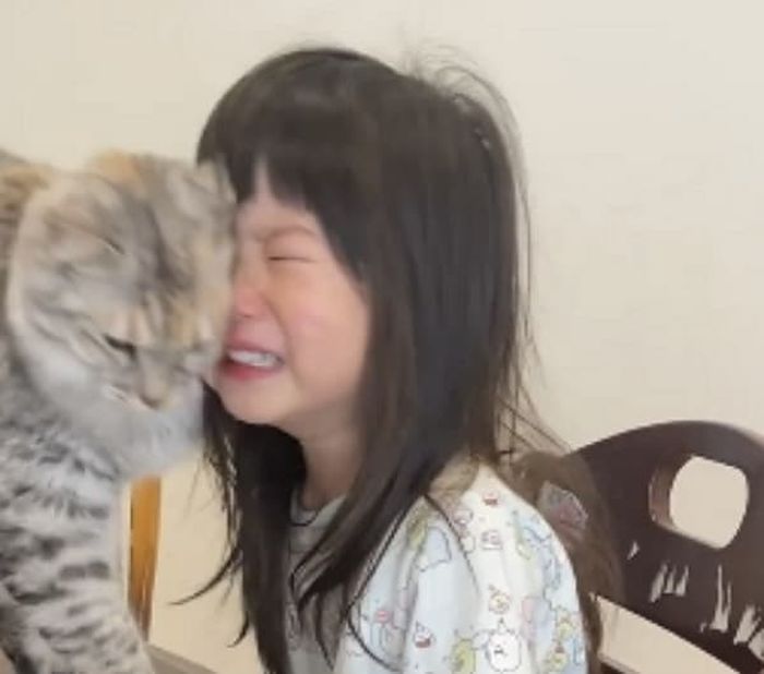애니멀플래닛