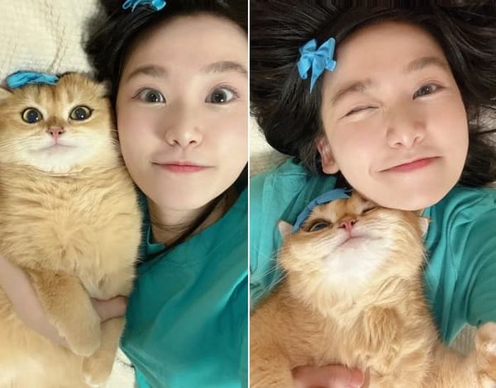 애니멀플래닛