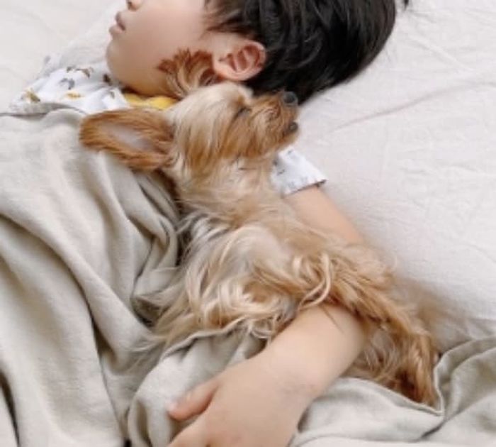 애니멀플래닛