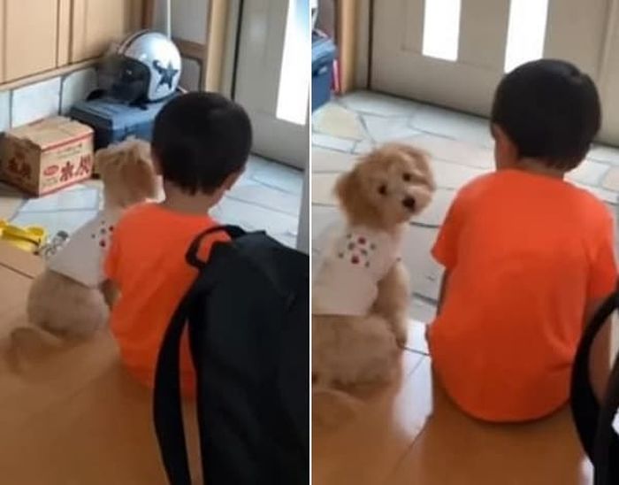 애니멀플래닛