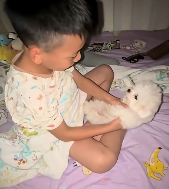 애니멀플래닛