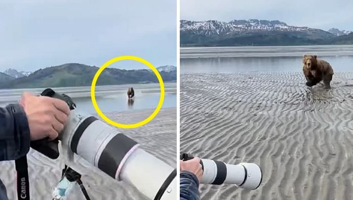 애니멀플래닛