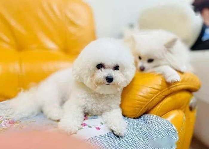 애니멀플래닛
