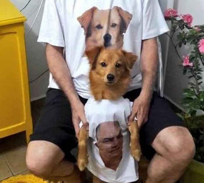 애니멀플래닛