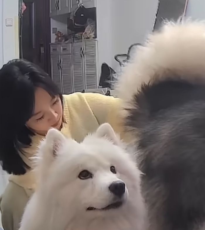 애니멀플래닛