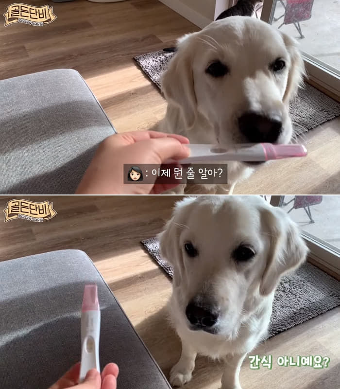 애니멀플래닛