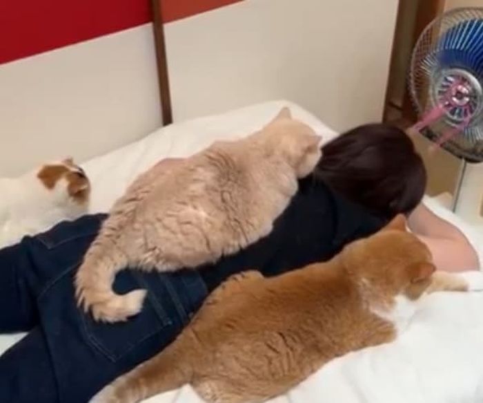 애니멀플래닛