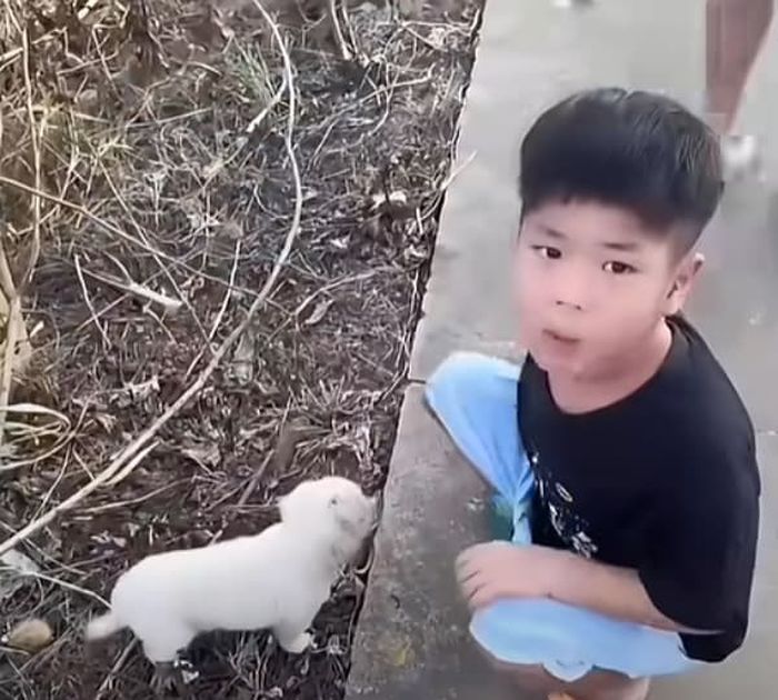 애니멀플래닛