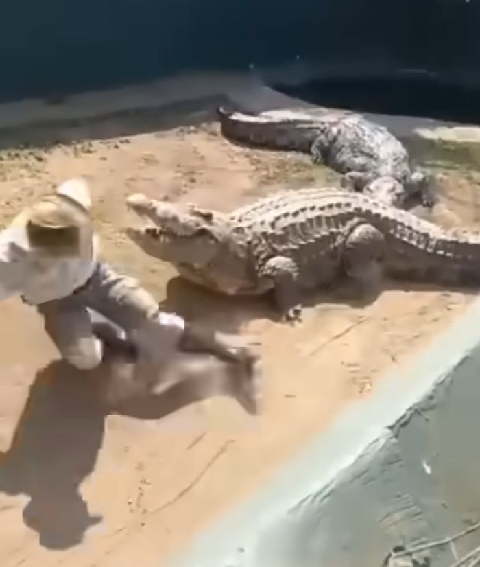 애니멀플래닛
