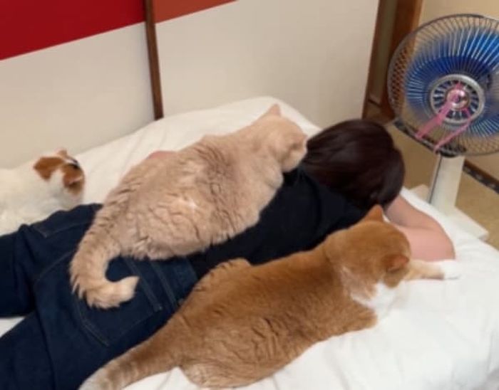 애니멀플래닛