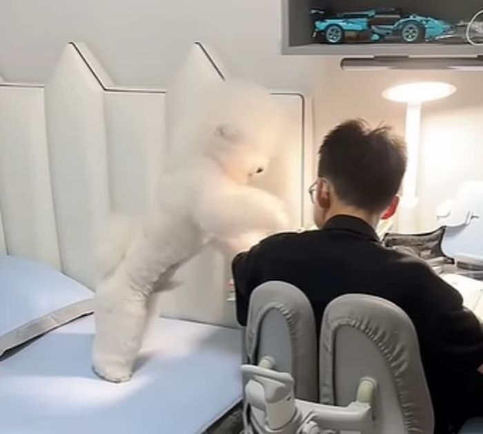 引用：快乐的生活gx