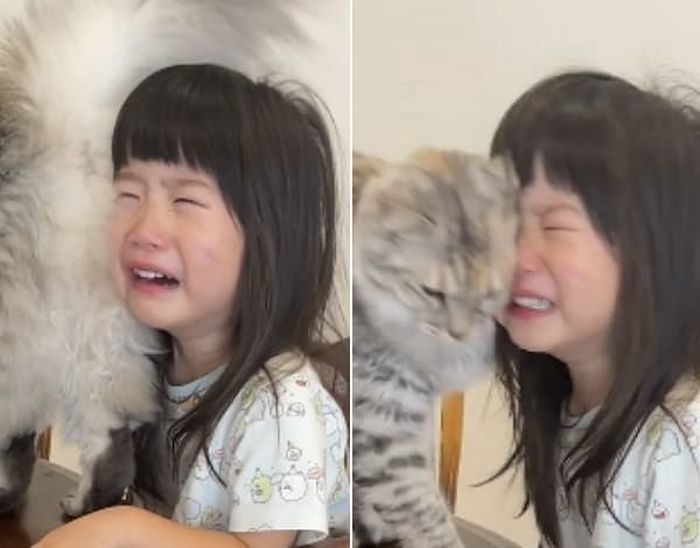 애니멀플래닛
