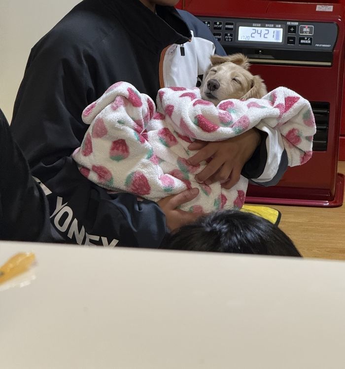 애니멀플래닛