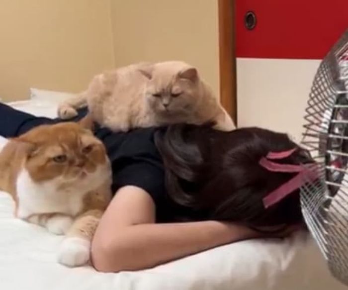애니멀플래닛