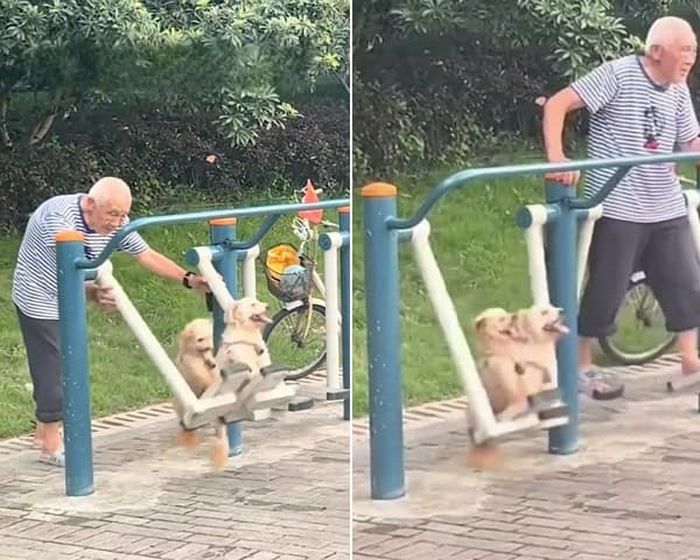 애니멀플래닛