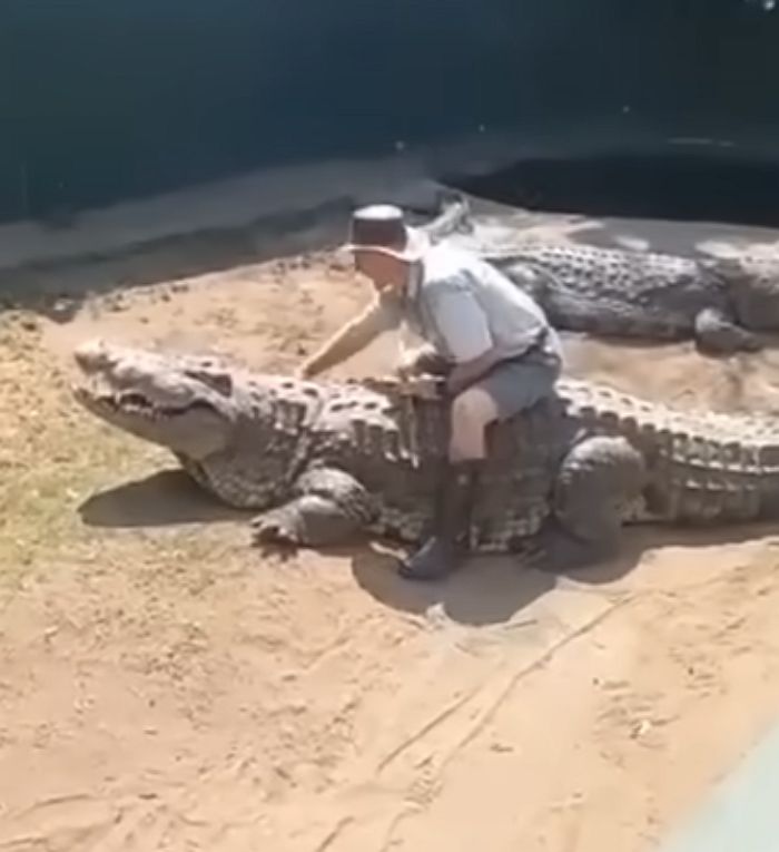 애니멀플래닛