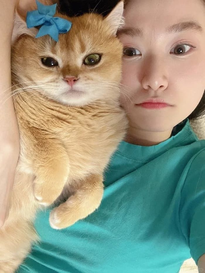 애니멀플래닛