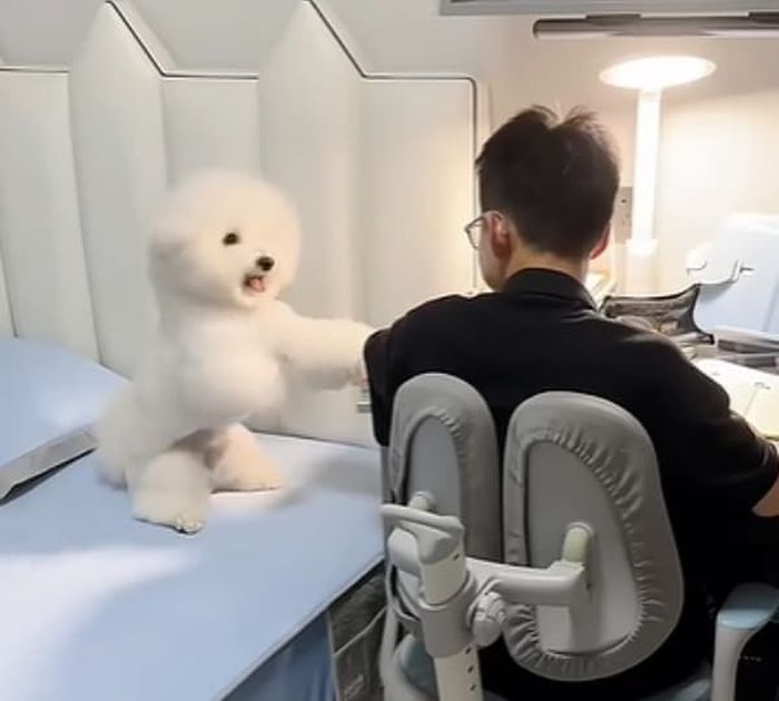 引用：快乐的生活gx