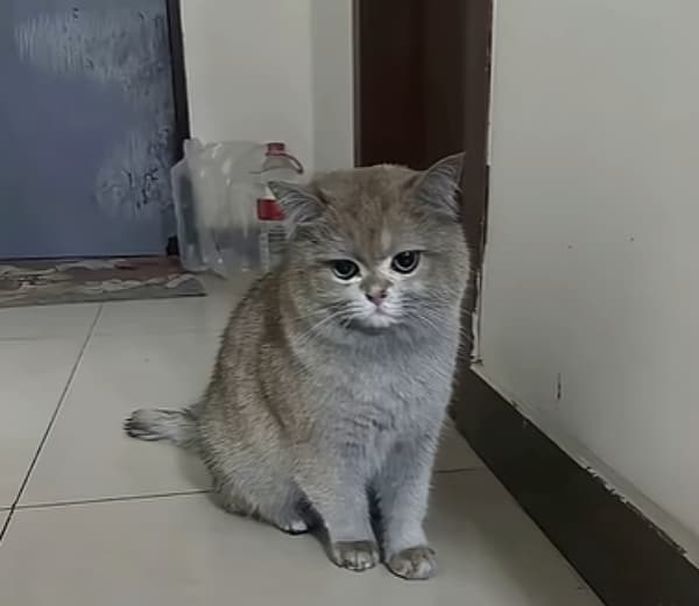 애니멀플래닛