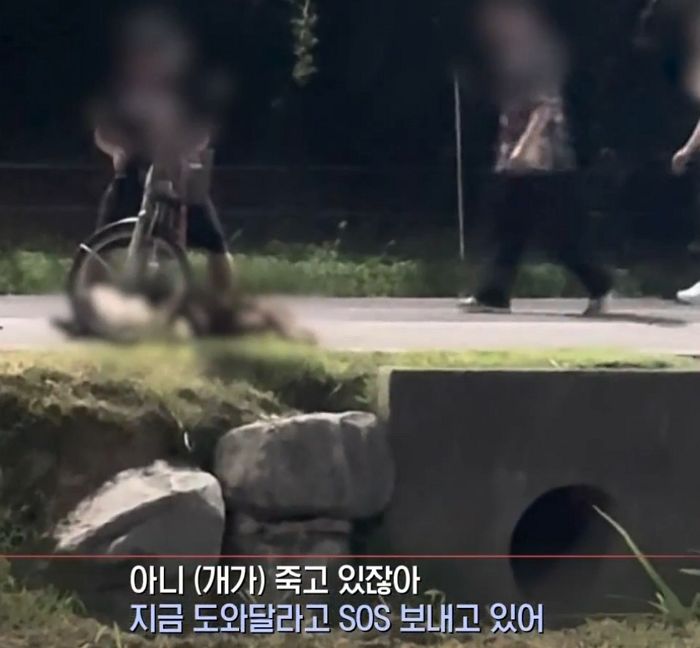 애니멀플래닛