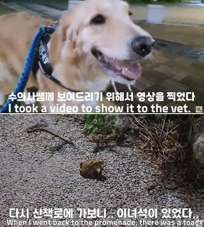 애니멀플래닛
