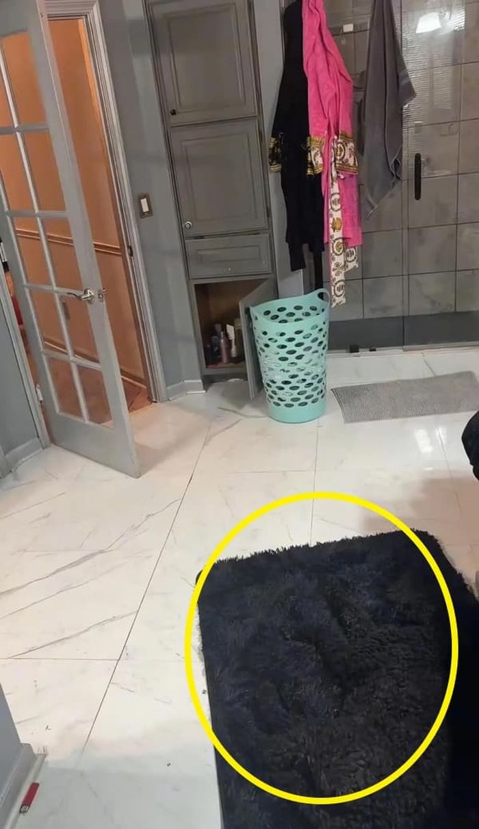 애니멀플래닛