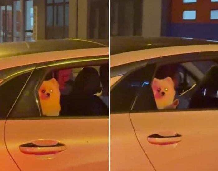 애니멀플래닛
