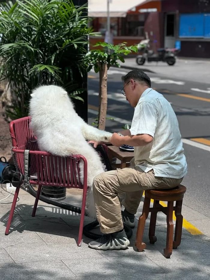 애니멀플래닛