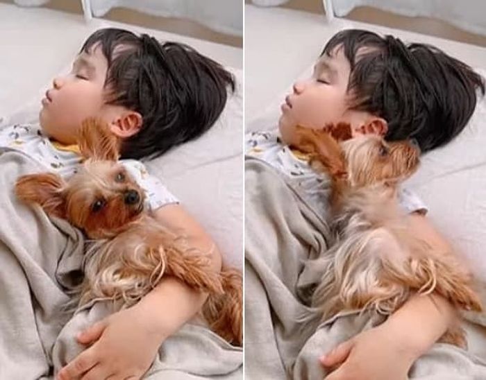애니멀플래닛