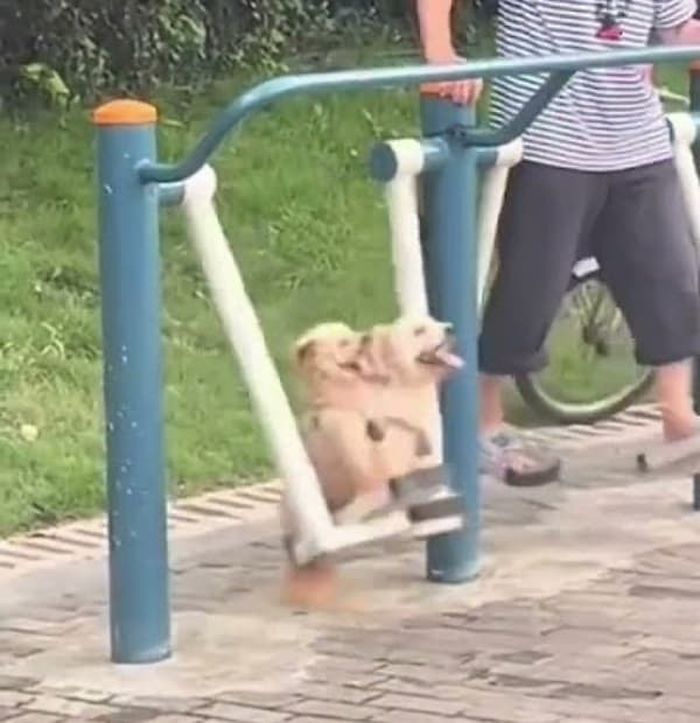 애니멀플래닛