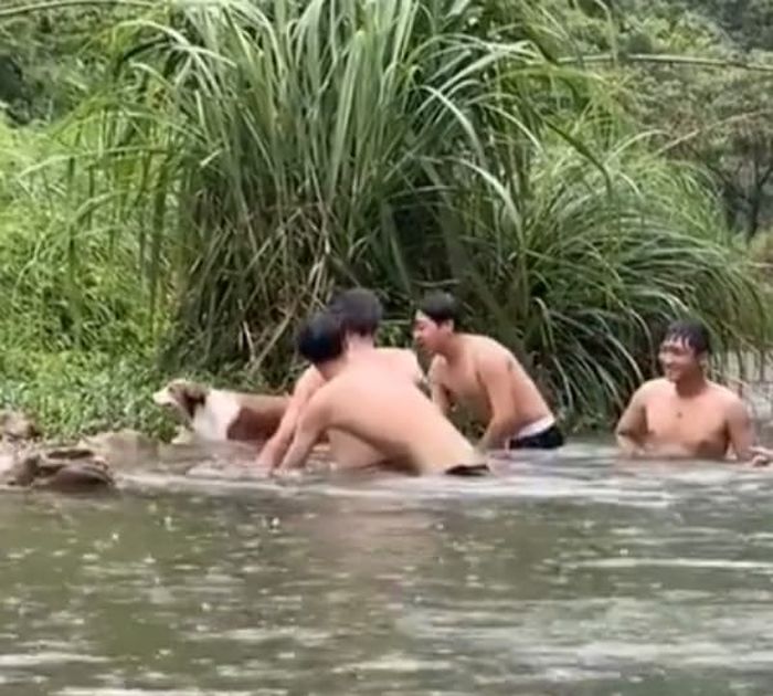 애니멀플래닛