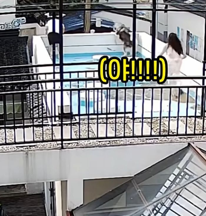 애니멀플래닛