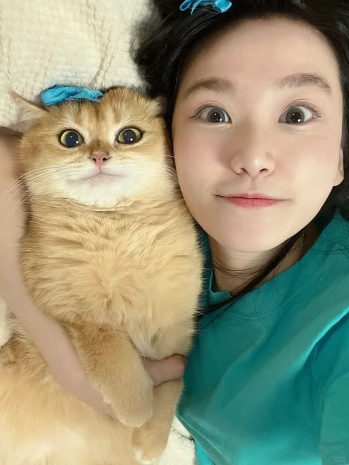 애니멀플래닛