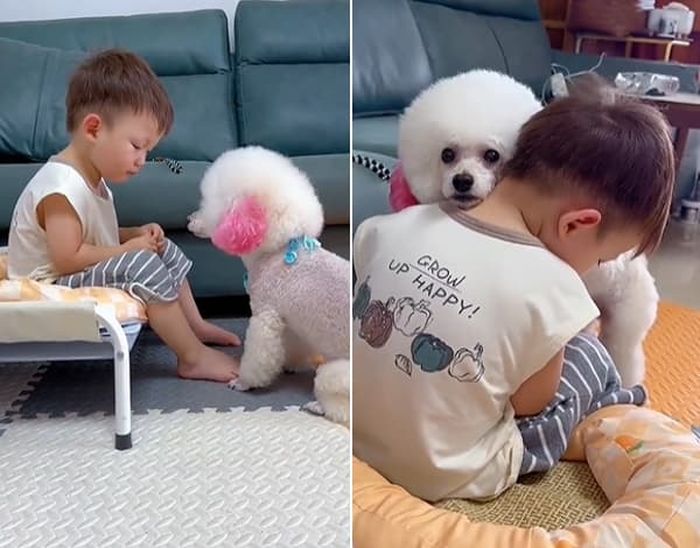 애니멀플래닛