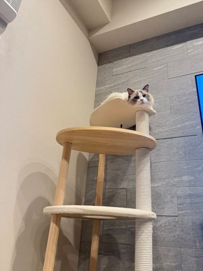 애니멀플래닛