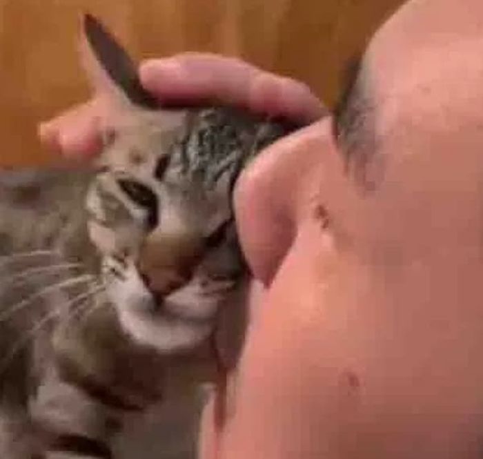 애니멀플래닛