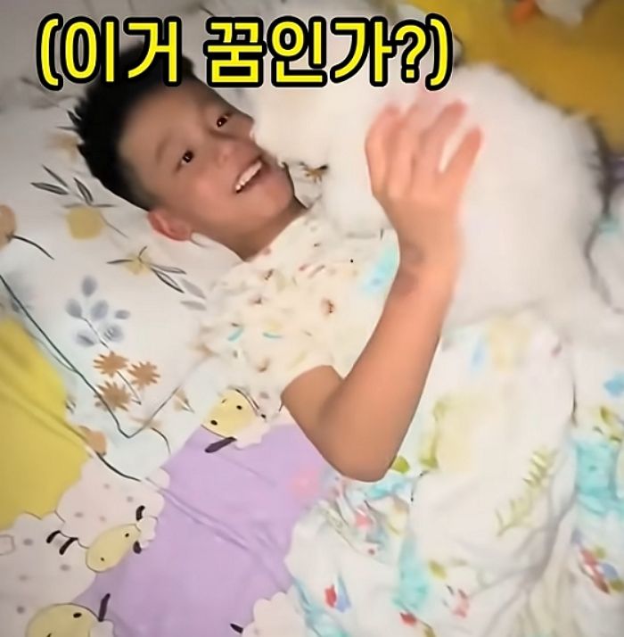 애니멀플래닛