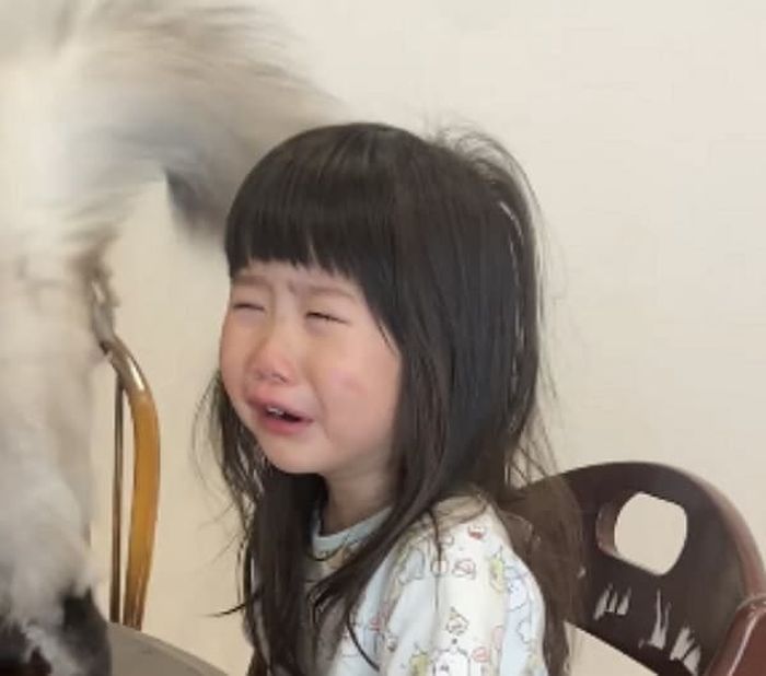 애니멀플래닛