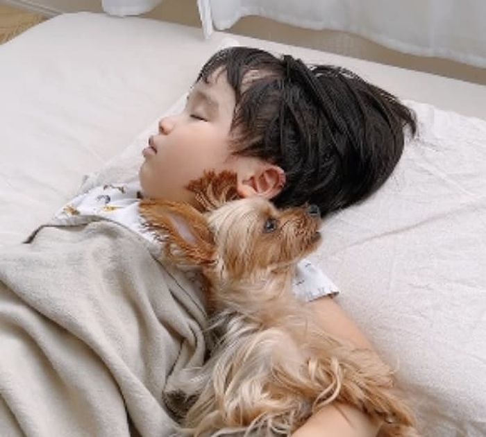애니멀플래닛