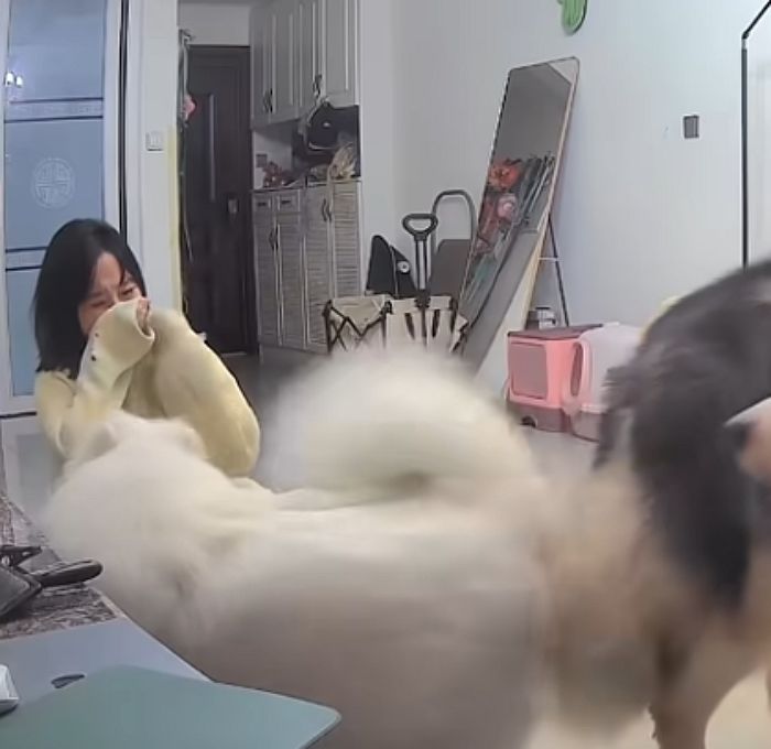 애니멀플래닛