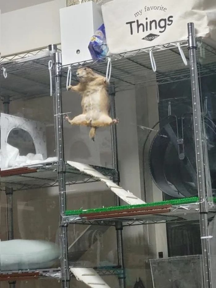 애니멀플래닛