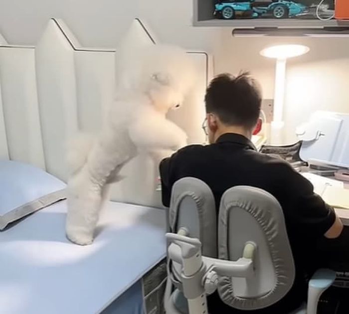 引用：快乐的生活gx