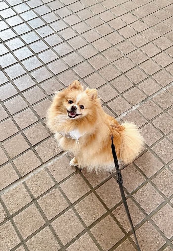 애니멀플래닛